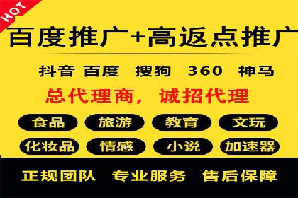 百度推广与SEO结合案例：提升网站排名的技巧